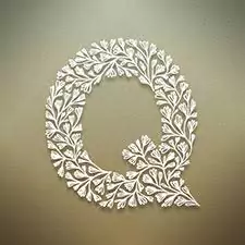 profile q name dp